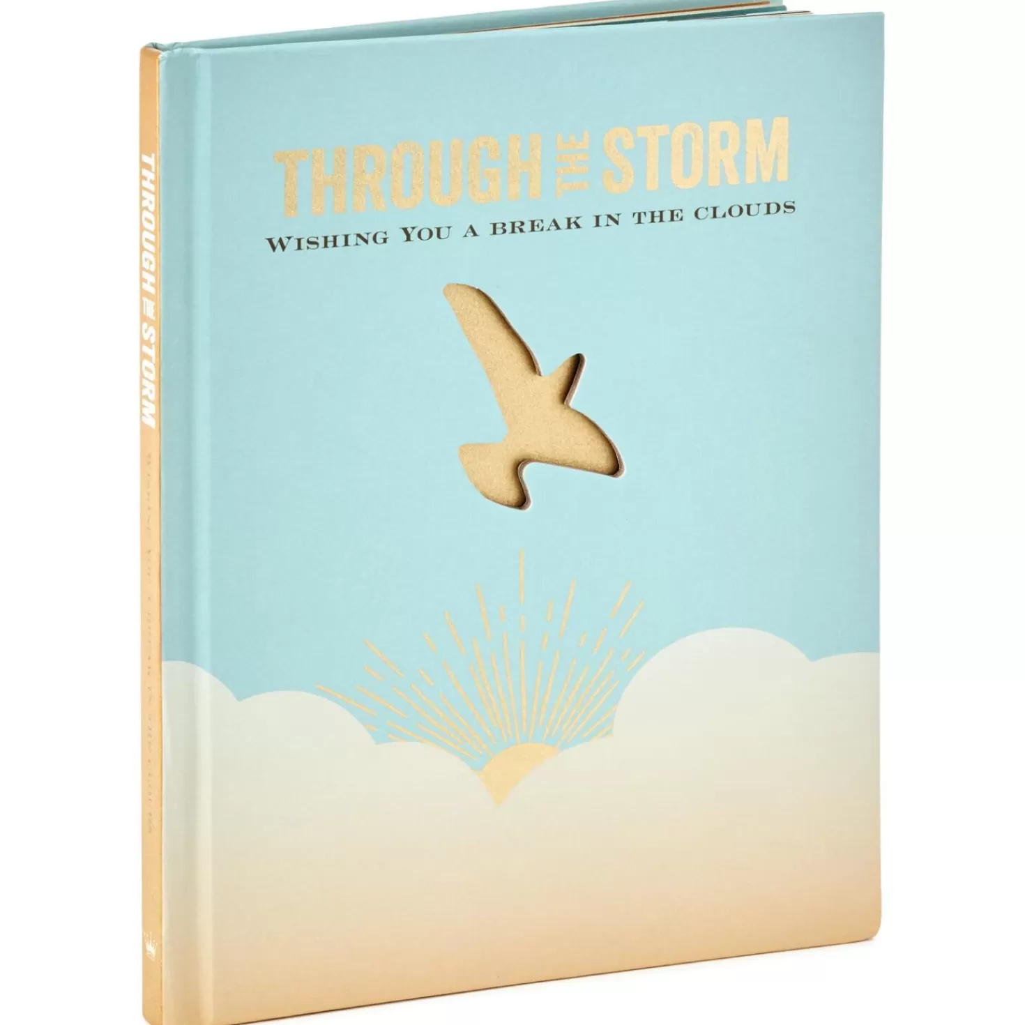 Online Through The Storm: Wishing You A Break In The Clouds Book Encouragement
