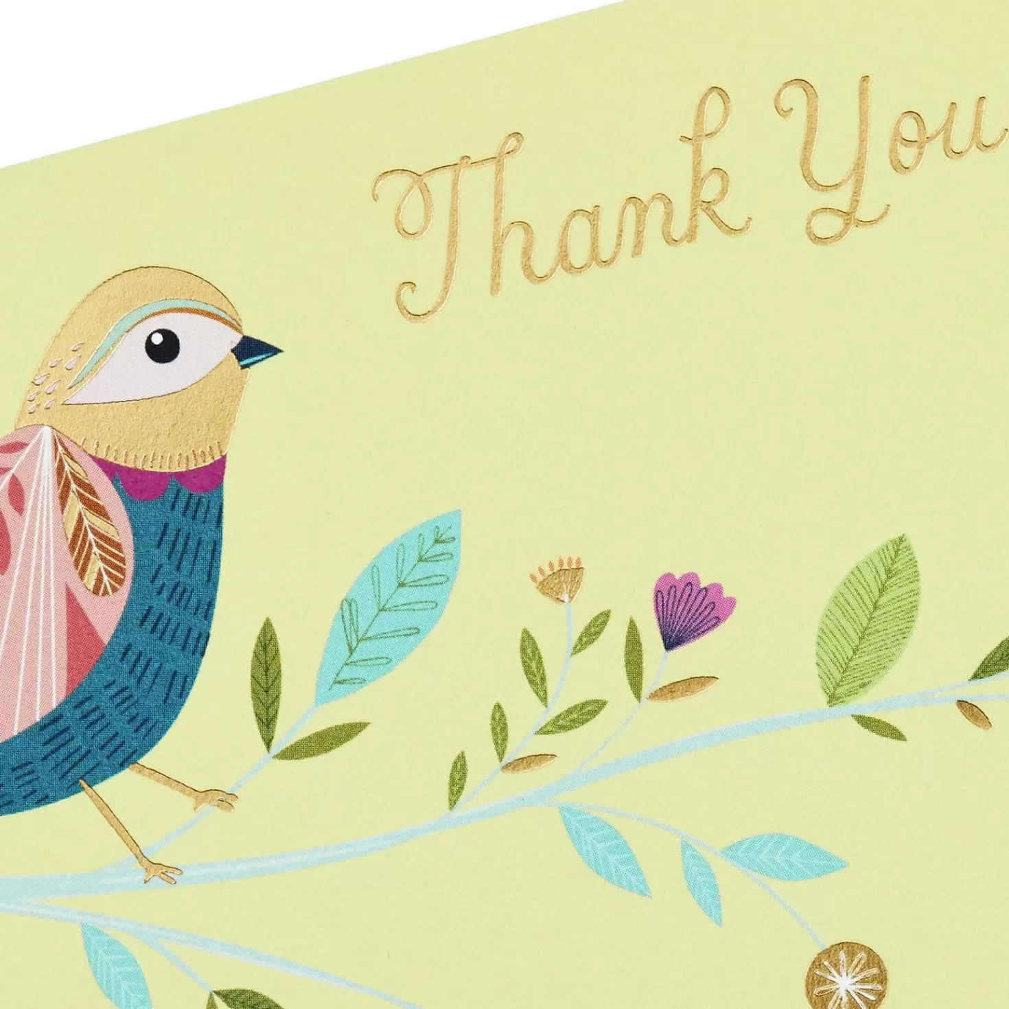 Discount Whimsical Designs Assorted Note Cards With Caddy, Box Of 30 Thank You