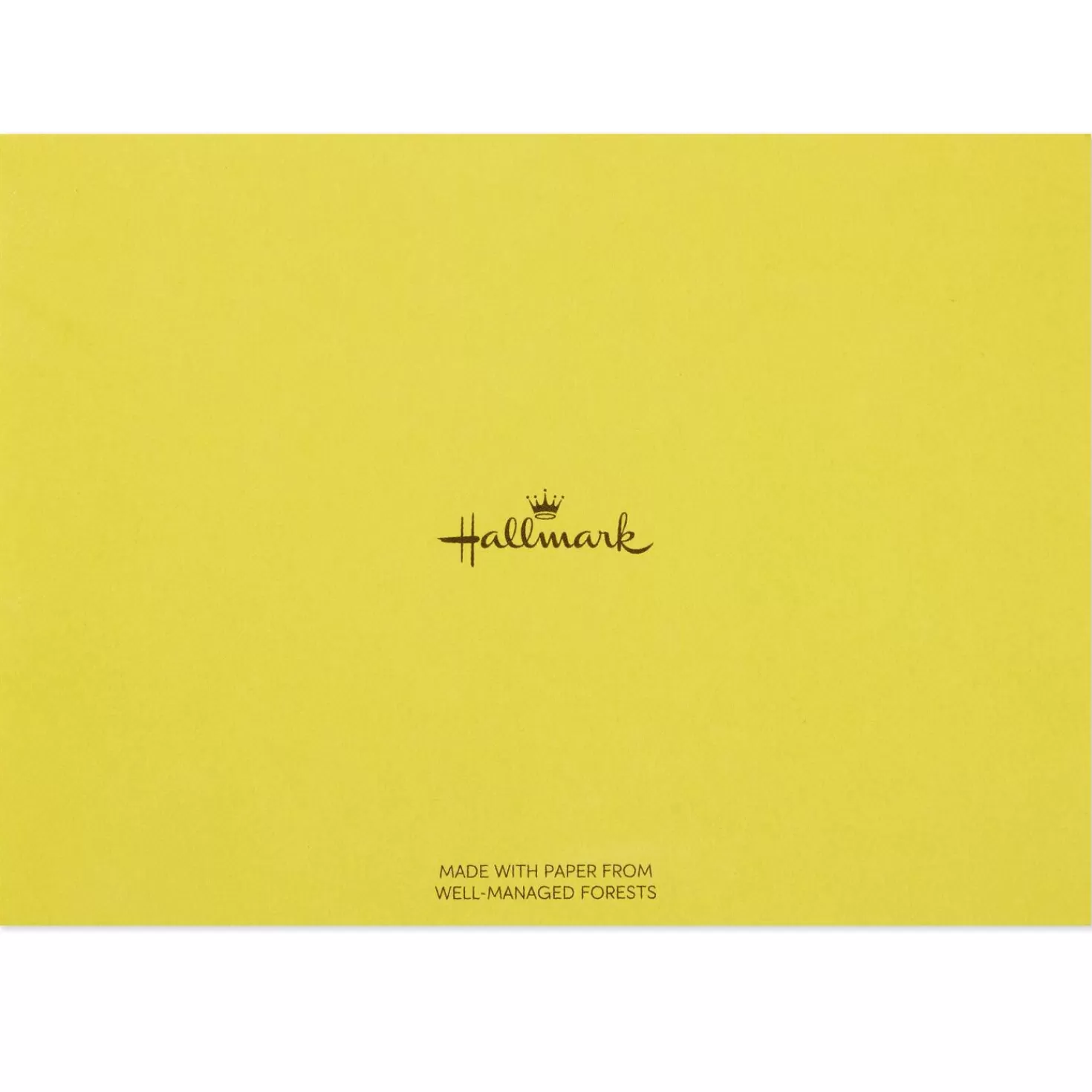 Discount Whimsical Designs Assorted Note Cards With Caddy, Box Of 30 Thank You