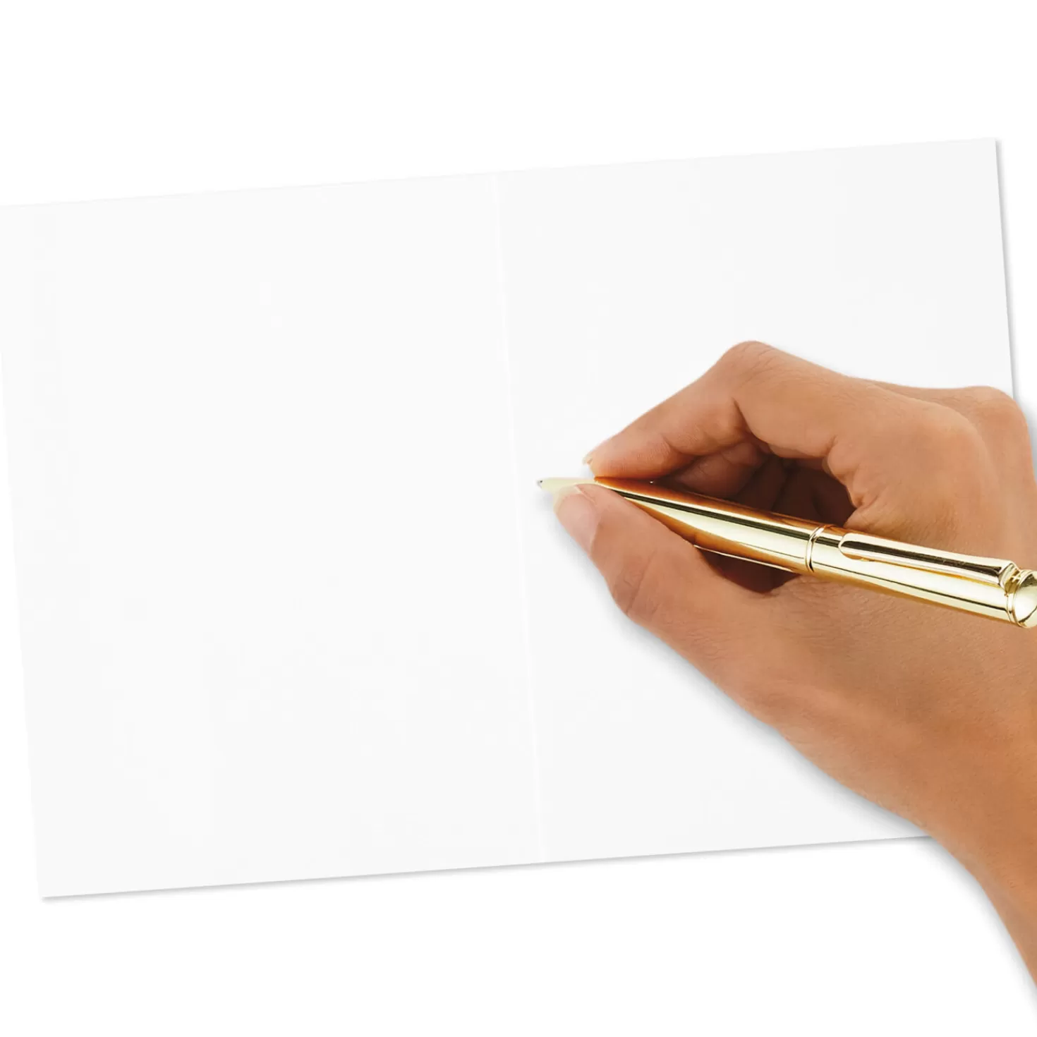 Outlet Woodland Animals Assorted Blank Thank-You Notes, Box Of 48 Thank You