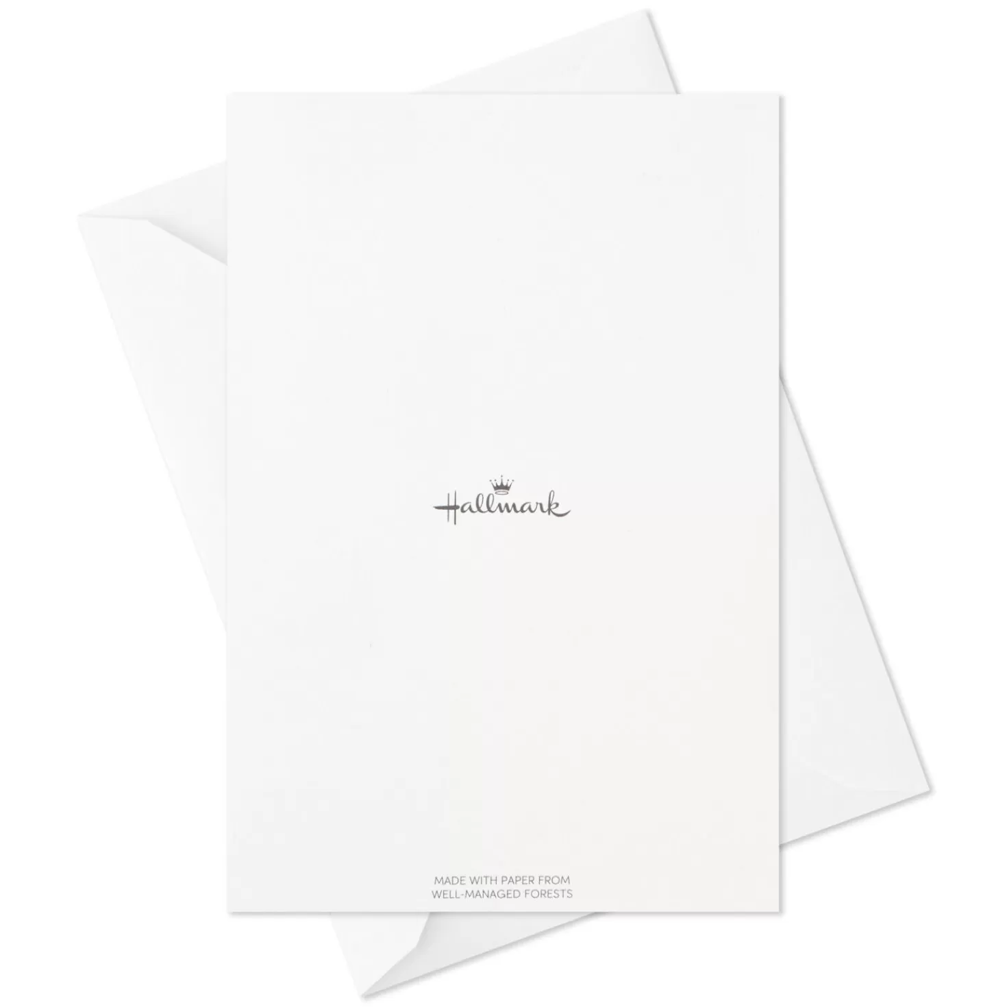 Outlet Woodland Animals Assorted Blank Thank-You Notes, Box Of 48 Thank You