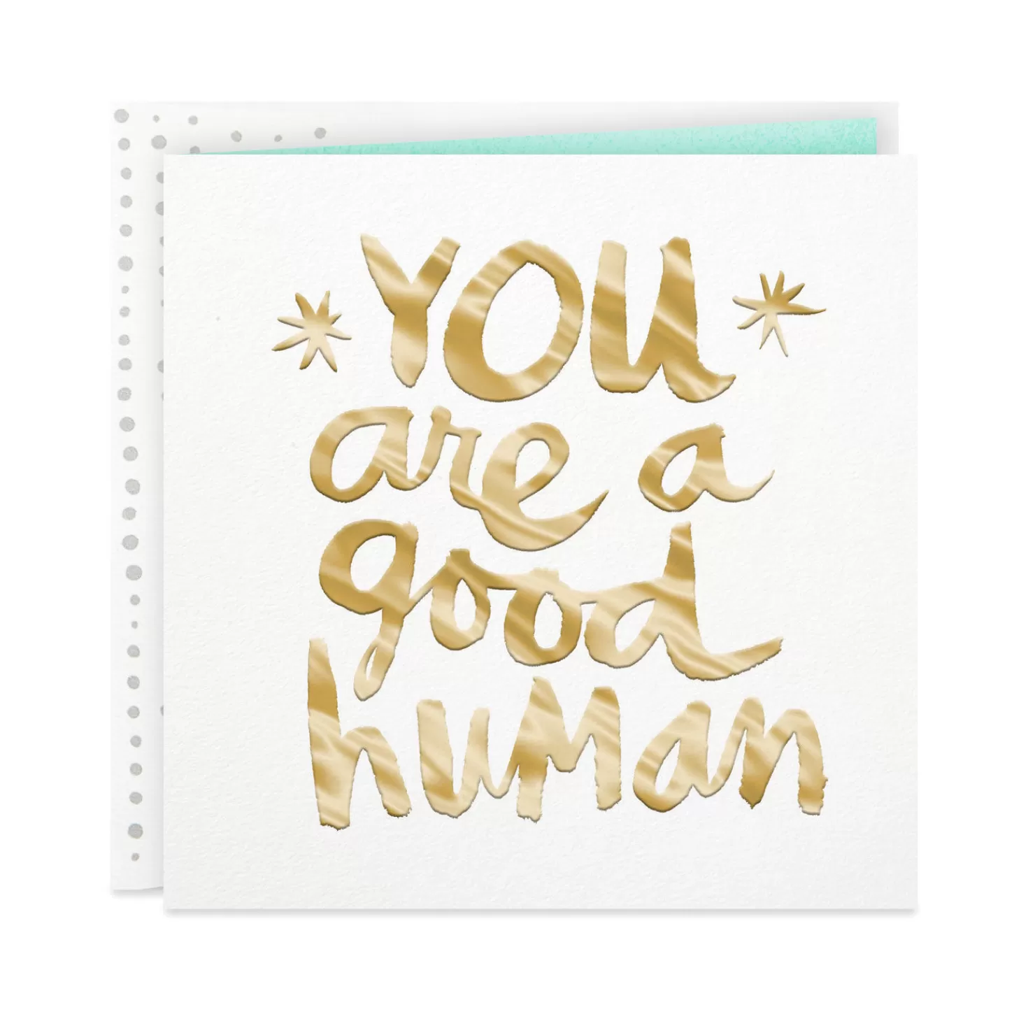 Hot You Are A Good Human Blank Card Thank You