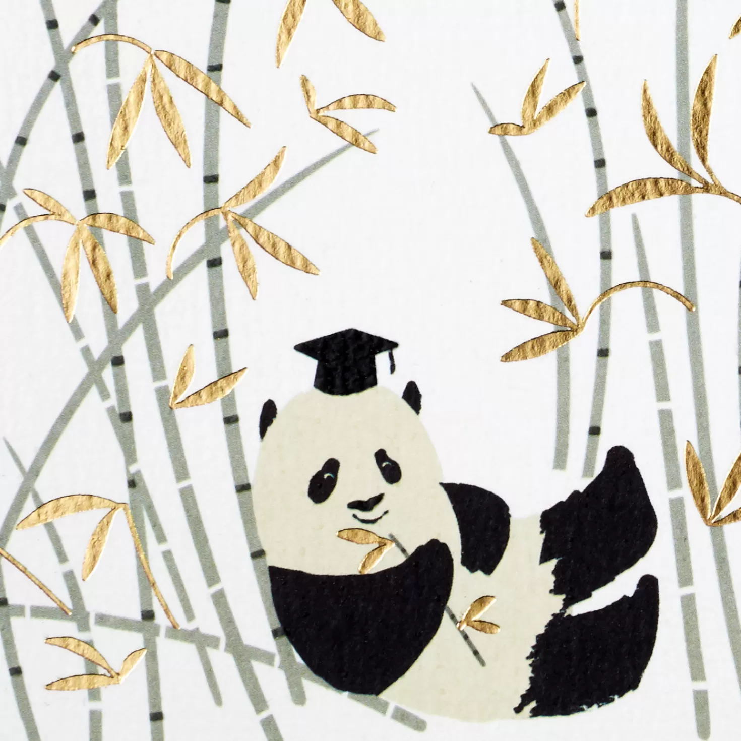 Flash Sale You Did It! Panda High School Graduation Card For Nephew Graduation