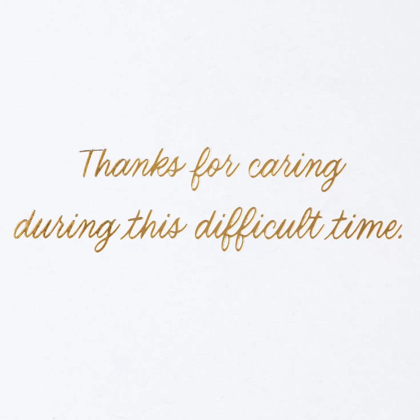 Flash Sale Your Caring Means A Lot Sympathy Thank-You Card Thank You