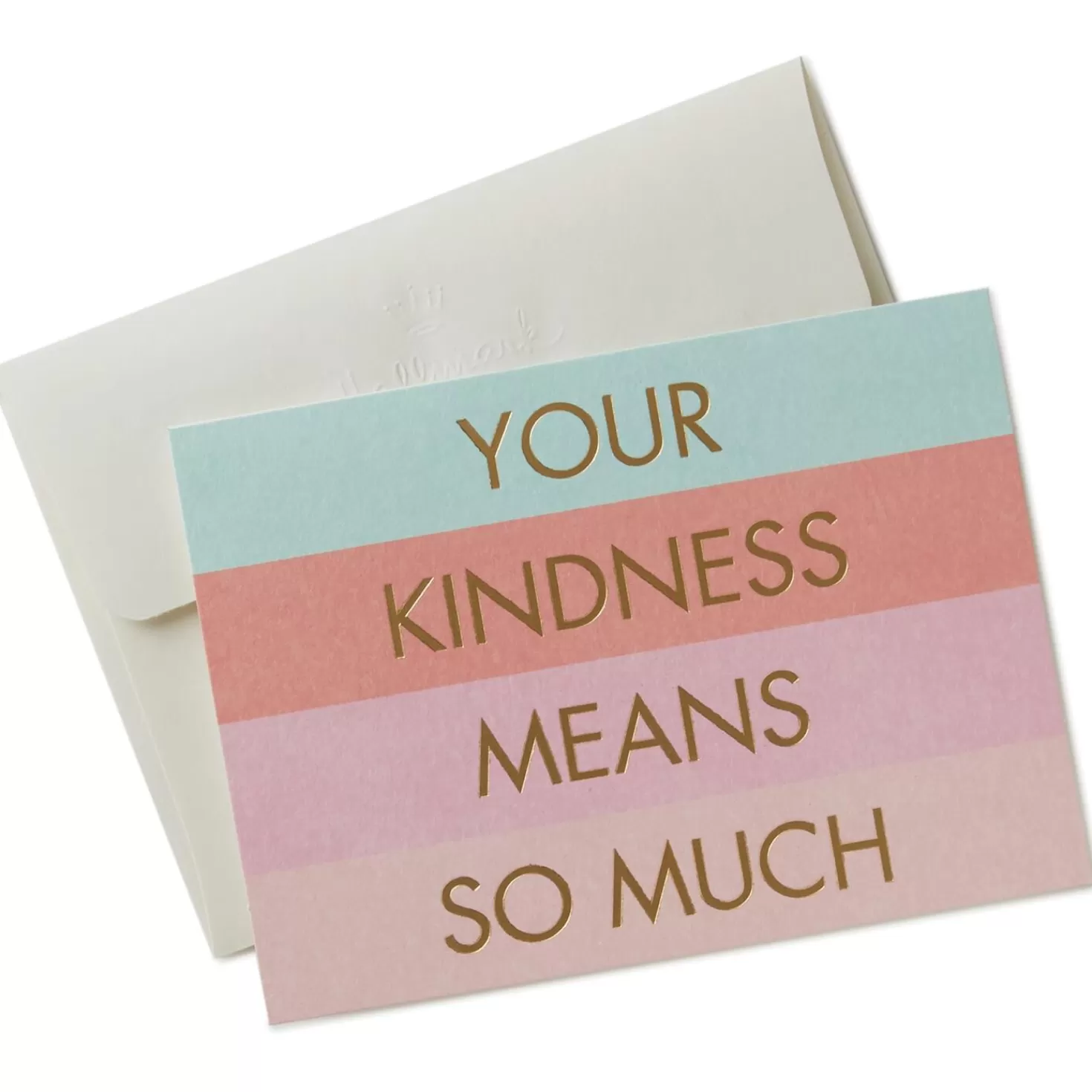 Clearance Your Kindness Means So Much Thank You Notes, Box Of 10 Thank You
