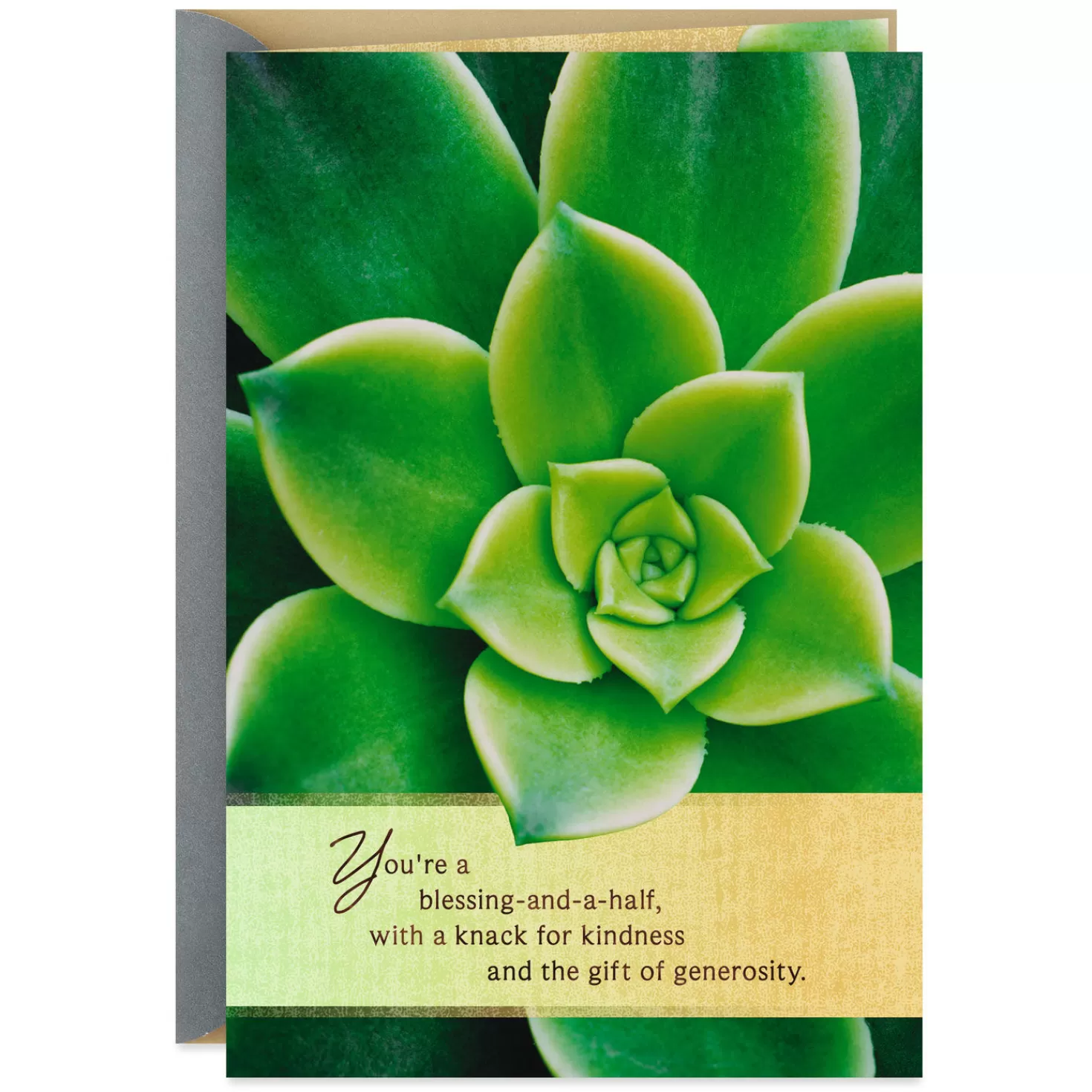 Clearance You'Re A Blessing-And-A-Half Thank-You Card Thank You
