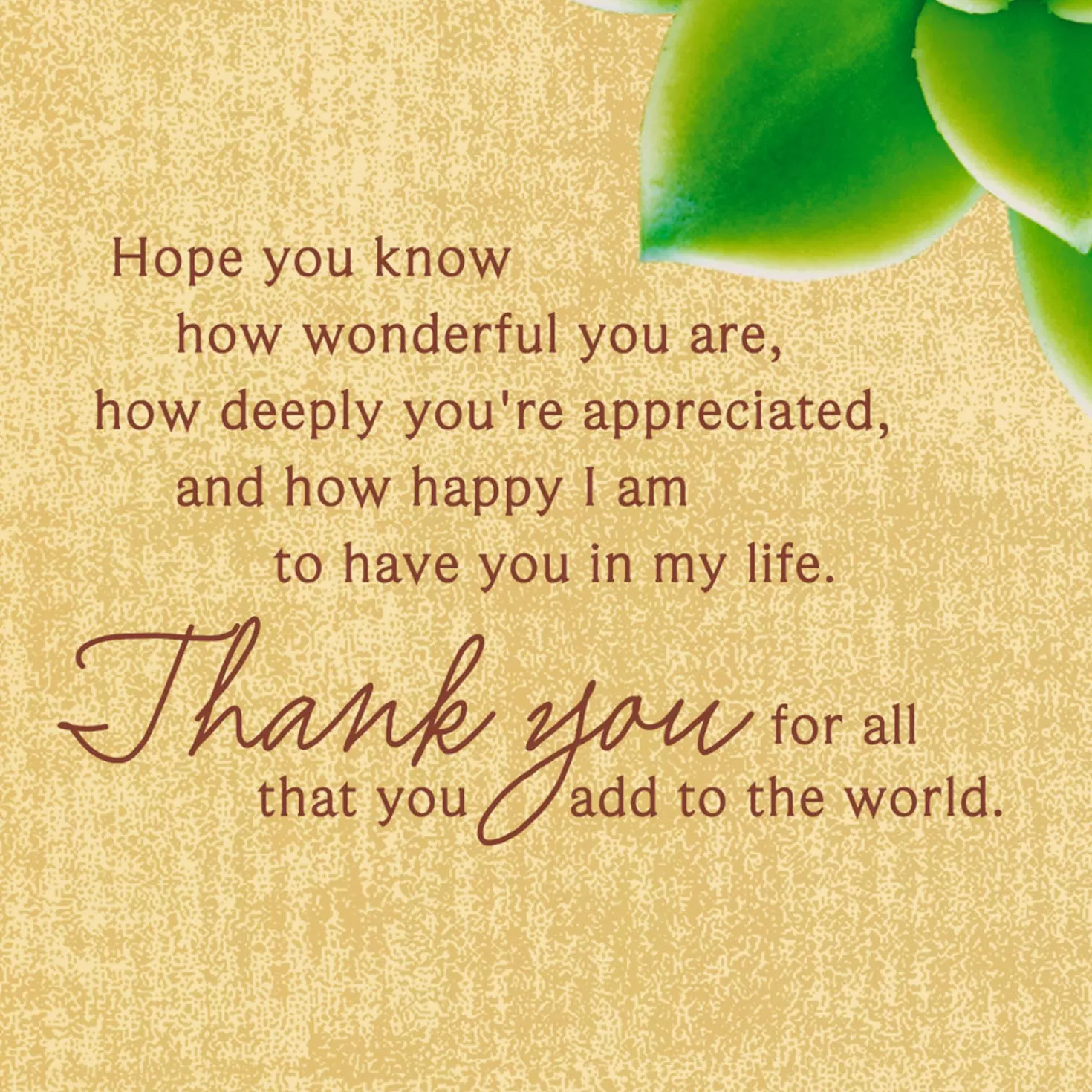 Clearance You'Re A Blessing-And-A-Half Thank-You Card Thank You