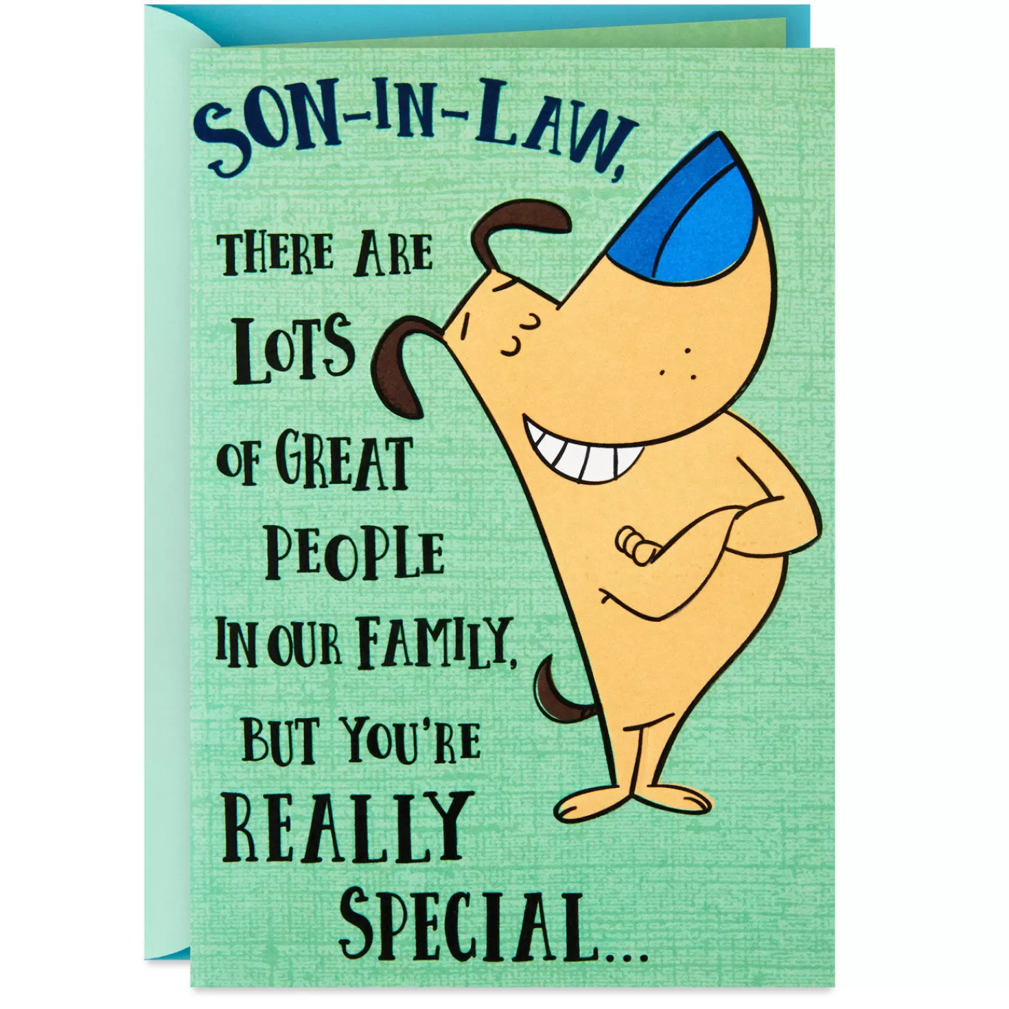 Birthday>Hallmark You'Re Really Special Funny Birthday Card For Son-In-Law