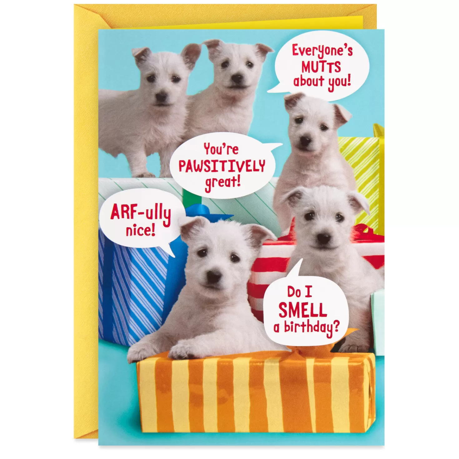 Birthday>Hallmark You'Re Top Dog Today Funny Birthday Card