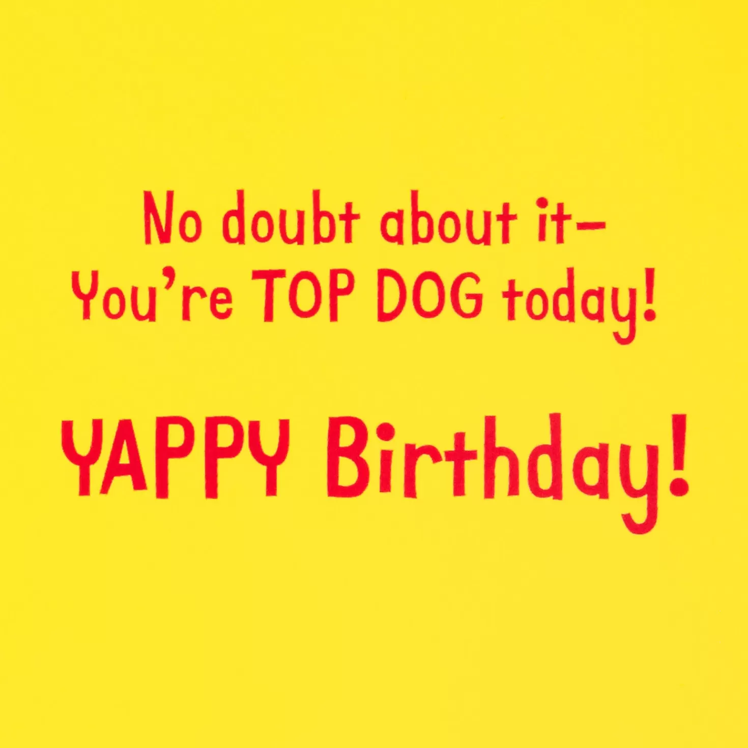 Birthday>Hallmark You'Re Top Dog Today Funny Birthday Card