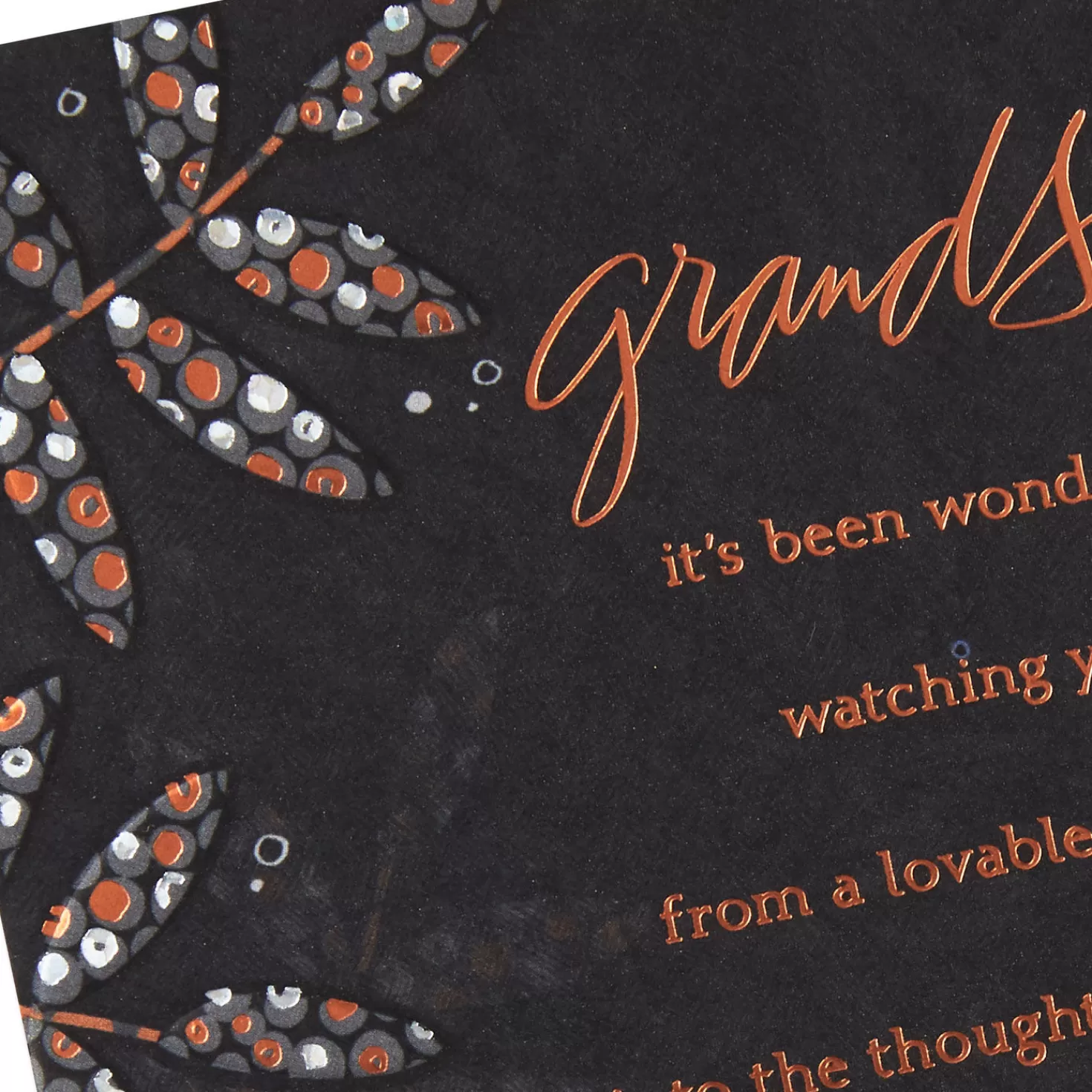 Birthday>Hallmark You'Ve Grown Into A Caring Man Birthday Card For Grandson